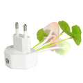 Novelty Mushroom Fungus Night Light EU & US Plug Light Sensor 220V 3 LED Colorful Mushroom Lamp Led Night Lights